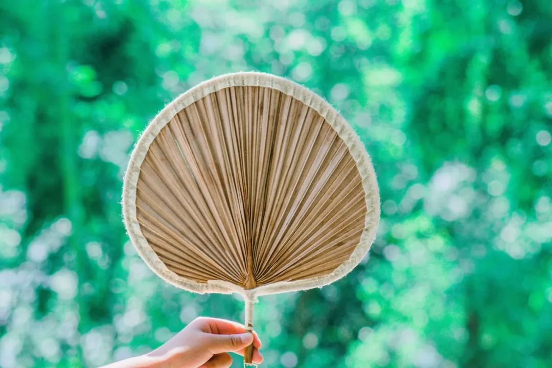 夏天的成语大全（夏天成语大全短句分享） 第15张