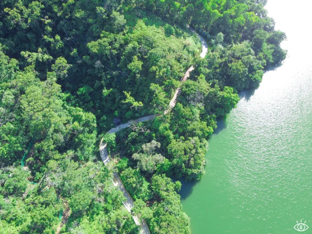 深圳必须去的50个地方，你去过几个？ 第105张