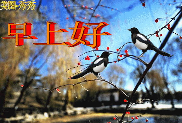 会动的图（会动的背景图片） 第3张