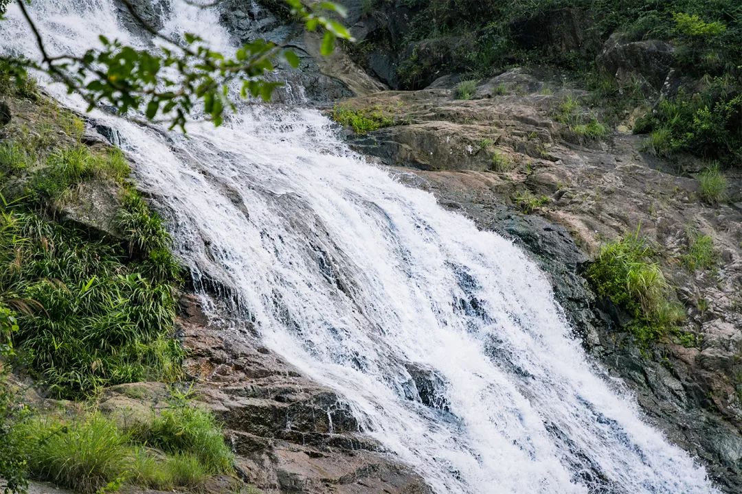 深圳必须去的50个地方，你去过几个？ 第39张