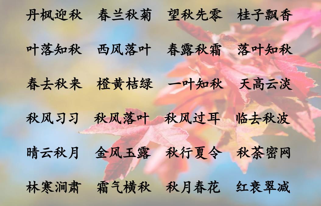 春夏秋冬的四字词语（关于春夏秋冬的四字词语） 第5张