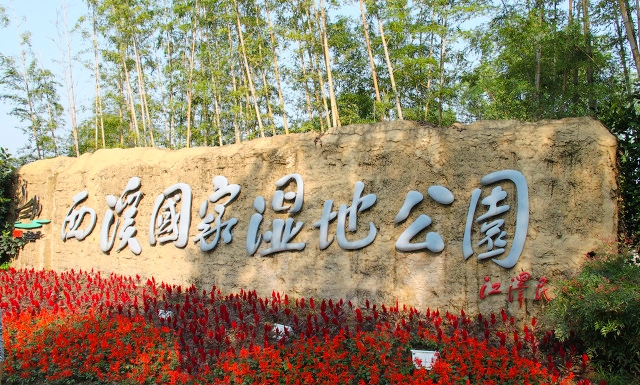杭州旅游十大必去打卡景点 第133张