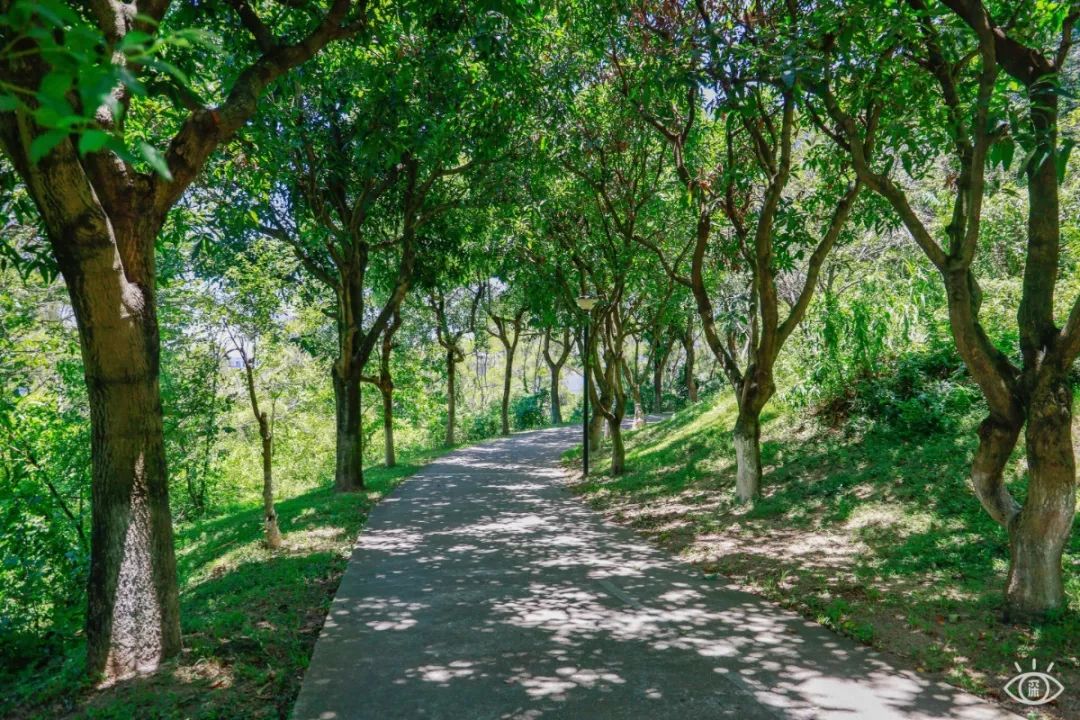 深圳必须去的50个地方，你去过几个？ 第79张