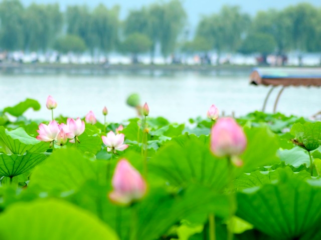 杭州旅游十大必去打卡景点 第19张