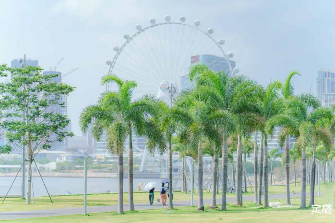 深圳必须去的50个地方，你去过几个？ 第9张