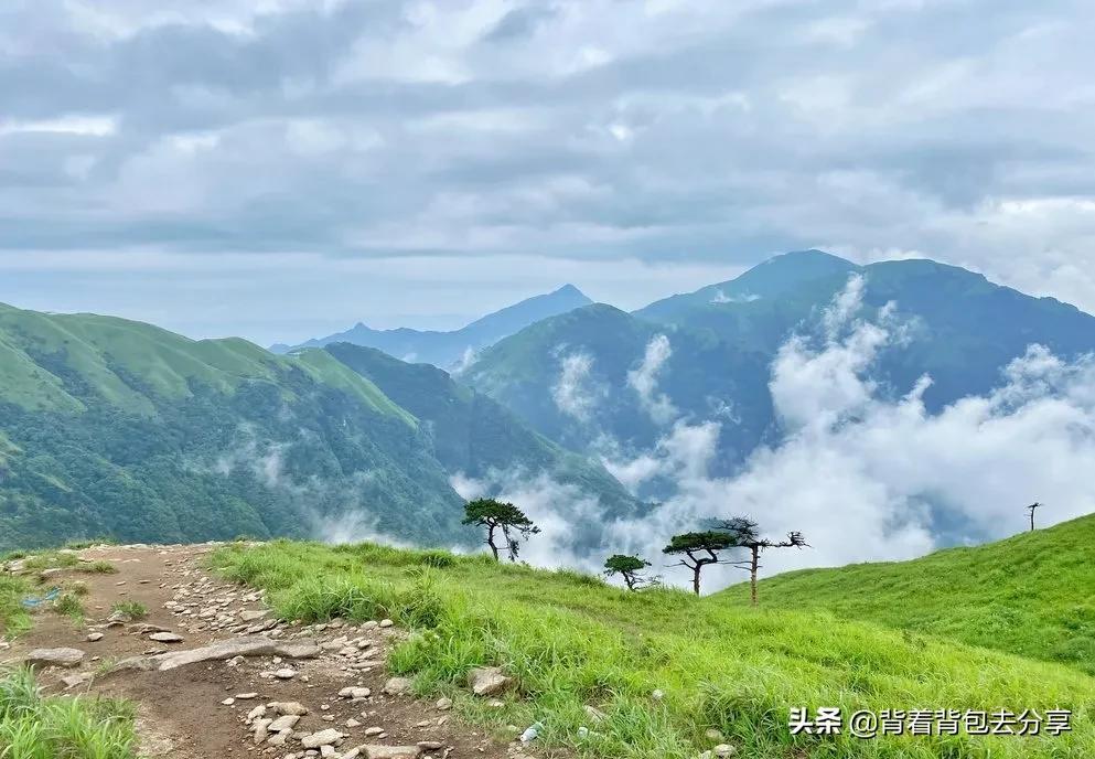 江西省十大著名景点，你又到过几处，附含-国庆假期免票景区 第11张