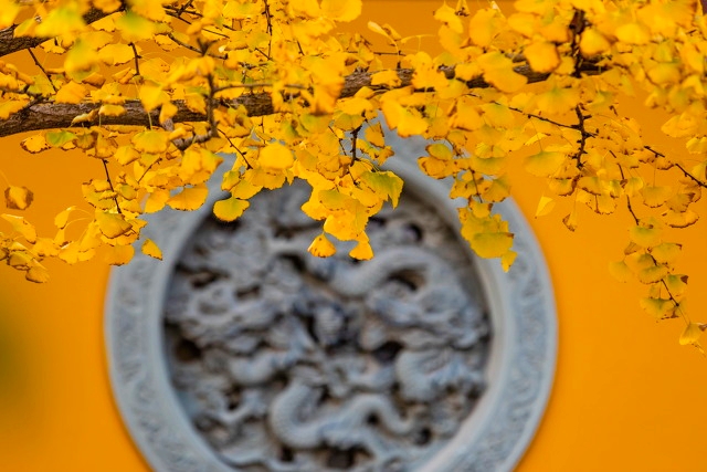 杭州旅游十大必去打卡景点 第31张