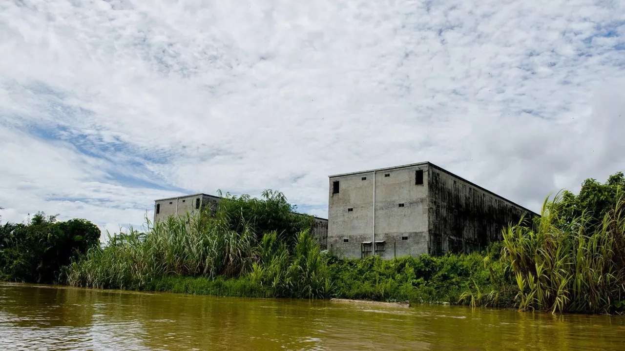 小哥筑屋引燕一个月产5斤燕窝，金丝燕口水制成，凭啥一斤卖万元 第19张