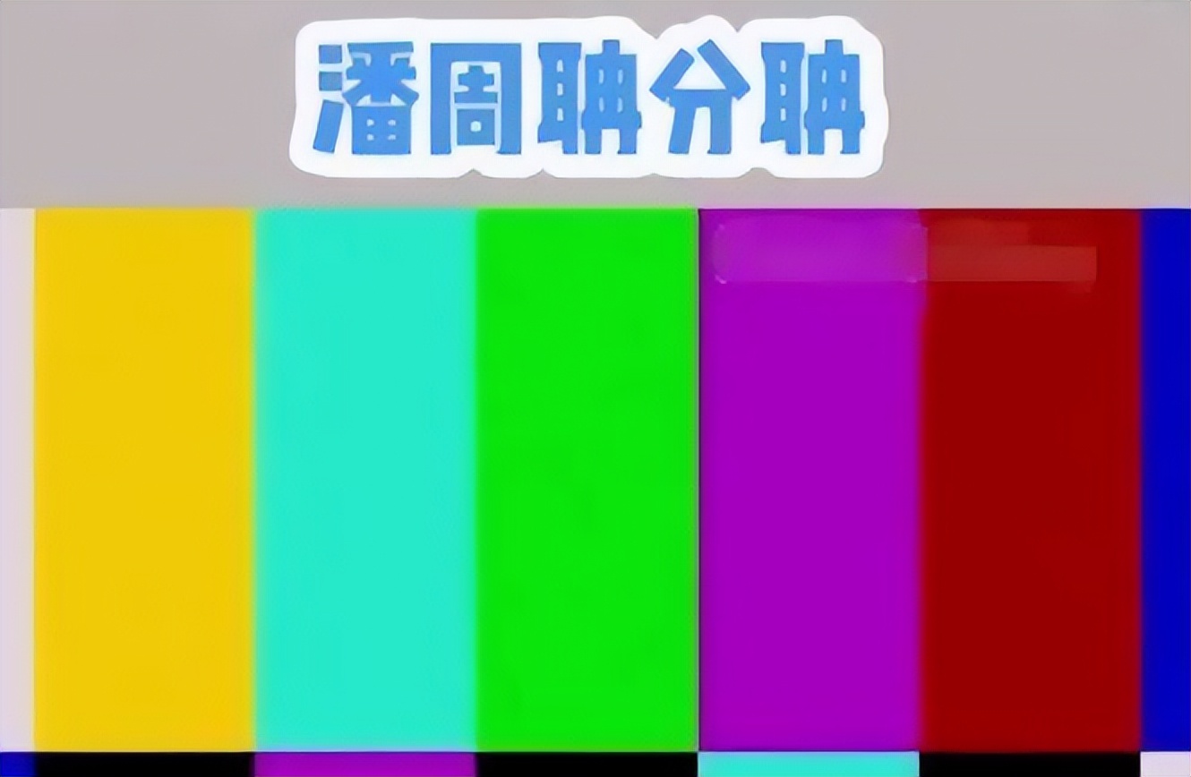 最强大脑潘周聃：因学霸式起身爆红全网，爱因斯坦是他大学校友 第39张