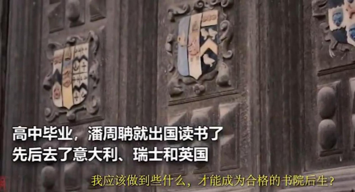 最强大脑潘周聃：因学霸式起身爆红全网，爱因斯坦是他大学校友 第31张