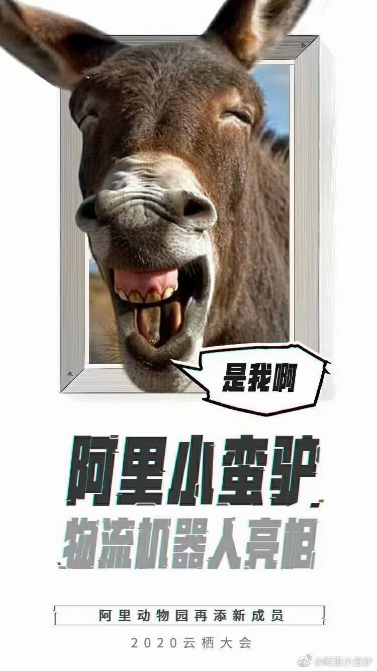 关于阿里首款机器人“小蛮驴”，你想知道的，全在这里 第1张