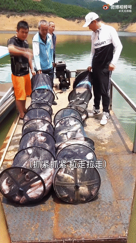 “天元邓刚”单月涨粉千万，钓鱼竟成抖音最受欢迎休闲运动？ 第7张