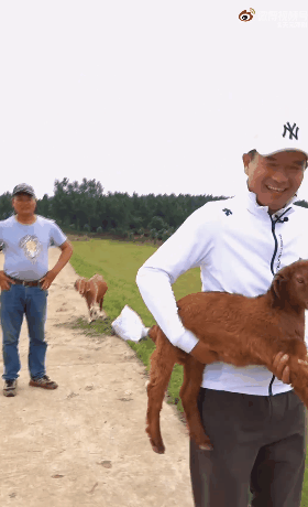 “天元邓刚”单月涨粉千万，钓鱼竟成抖音最受欢迎休闲运动？ 第9张
