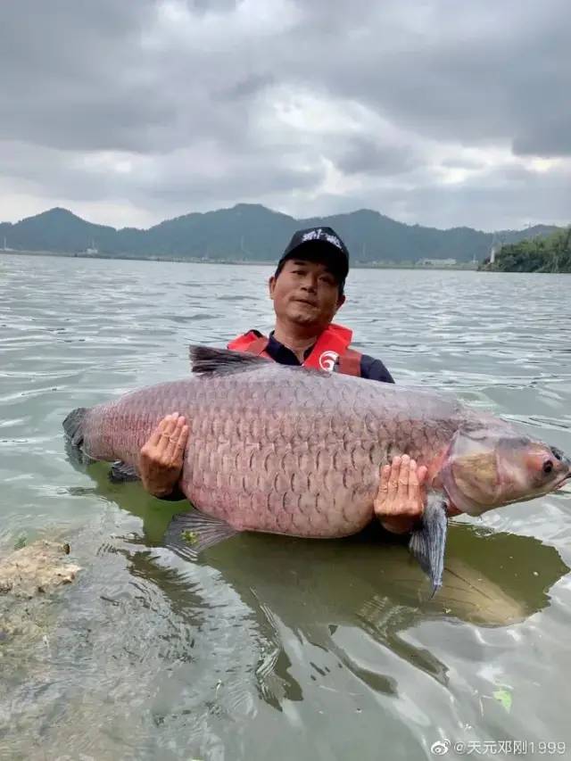 “天元邓刚”单月涨粉千万，钓鱼竟成抖音最受欢迎休闲运动？ 第11张