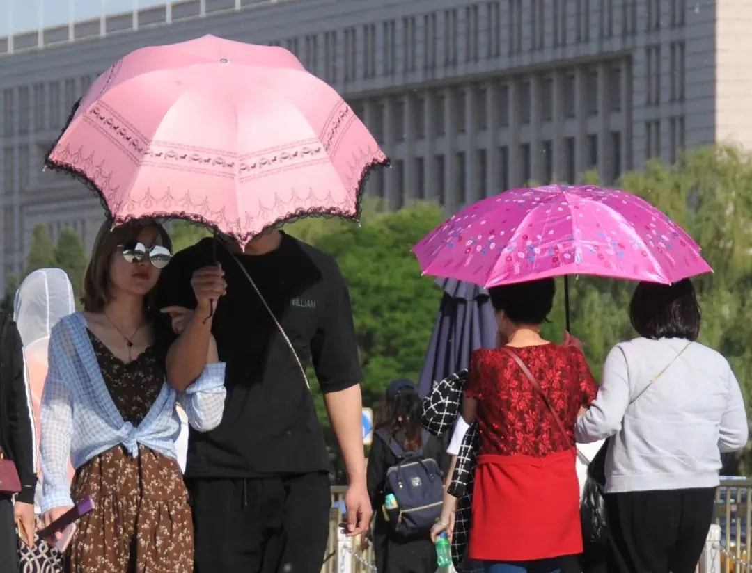 社区团购新变局：头部玩家放缓，盒马集市稳扎稳打，发展迅猛 第5张
