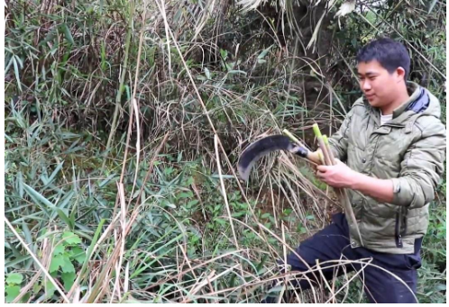 90后外卖小哥辞职创业，半年开5家快餐店，背后模式值得借鉴 第1张