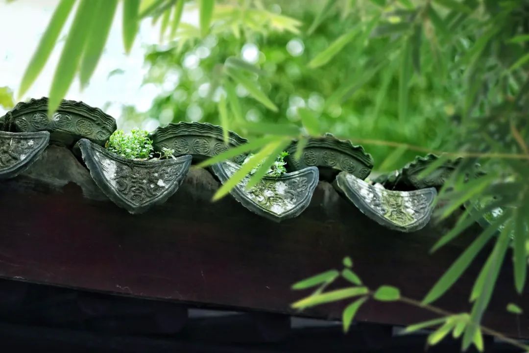 古风诗词唯美短句（古风励志哲理唯美句子） 第5张