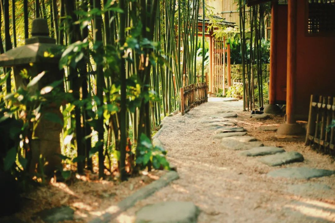 古风诗词唯美短句（古风励志哲理唯美句子） 第9张