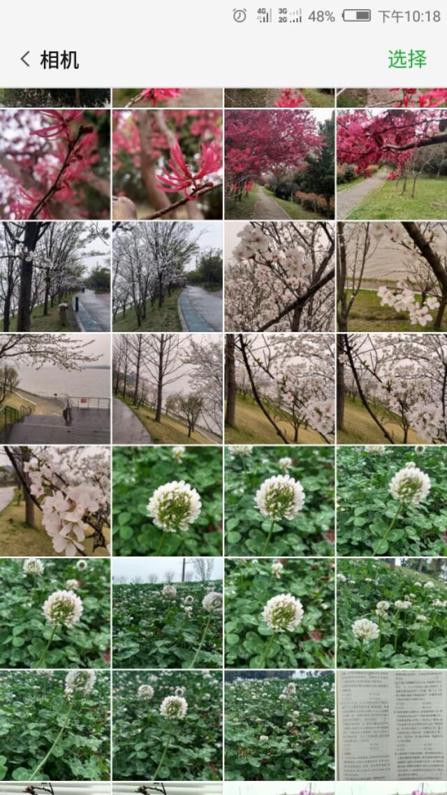 怎么把照片合成一张图片（用手机把多张图片合成一张方法） 第1张