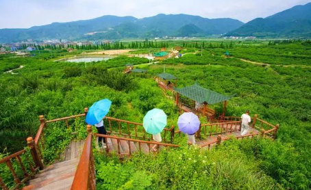 简单而又幸福生活的句子（珍惜平淡幸福生活的励志语录） 第7张