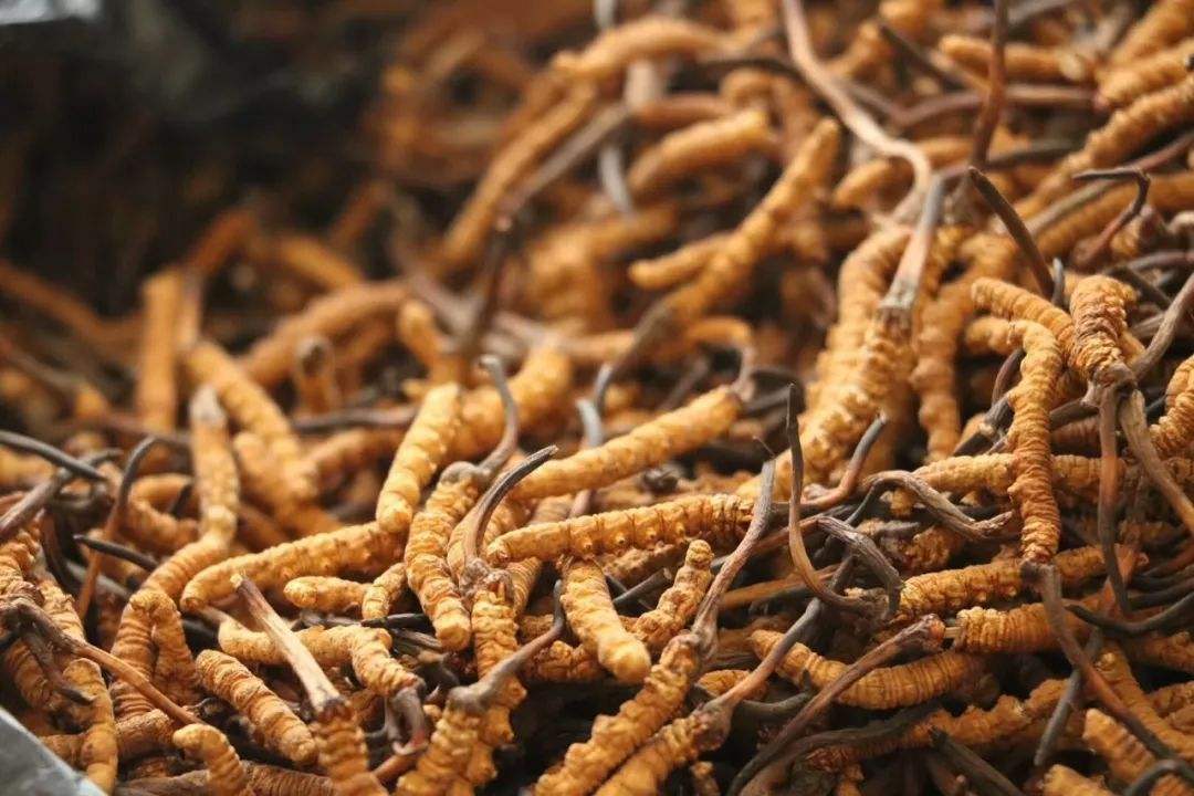 靠“洗脑”中国男人发财，年捞金10多亿，却和冬虫夏草一个下场 第3张