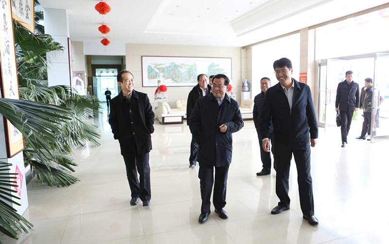 白手起家的安徽富豪凉了：巅峰时身价32亿，如今已跌落神坛 第3张