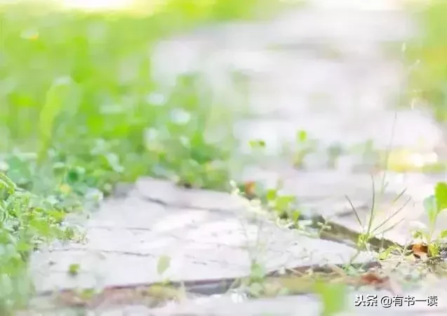 席慕蓉十首经典诗词（现代诗席慕容最经典） 第3张