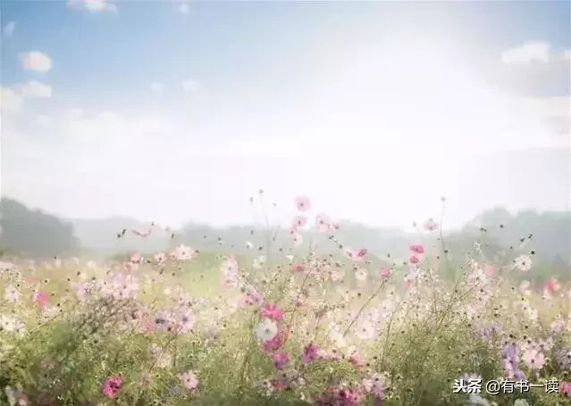 席慕蓉十首经典诗词（现代诗席慕容最经典） 第11张