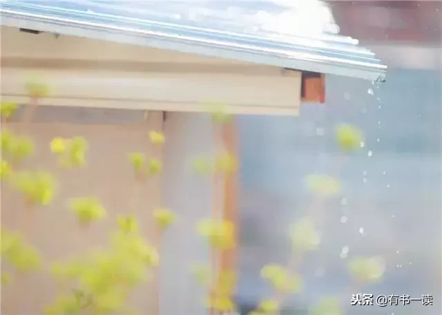 席慕蓉十首经典诗词（现代诗席慕容最经典） 第17张