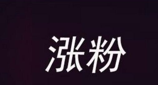 快手涨粉网站哪些？快手涨粉的方式方法 第5张