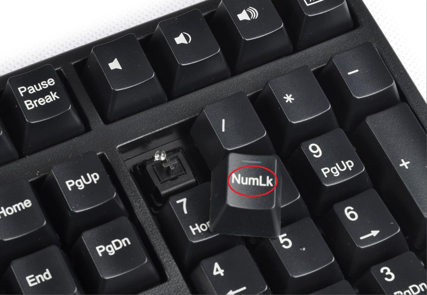 键盘上的numlock是什么键（笔记本键盘打不出字怎么办） 第5张