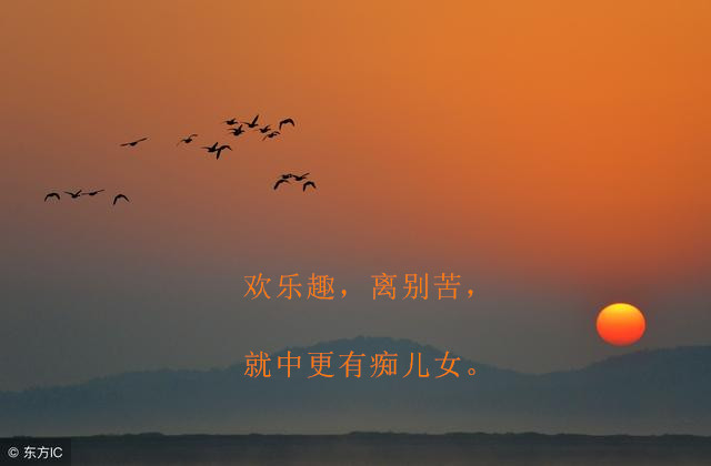 雁丘词元好问原文（雁丘词的原文翻译赏析） 第5张