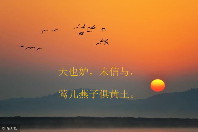 雁丘词元好问原文（雁丘词的原文翻译赏析） 第9张