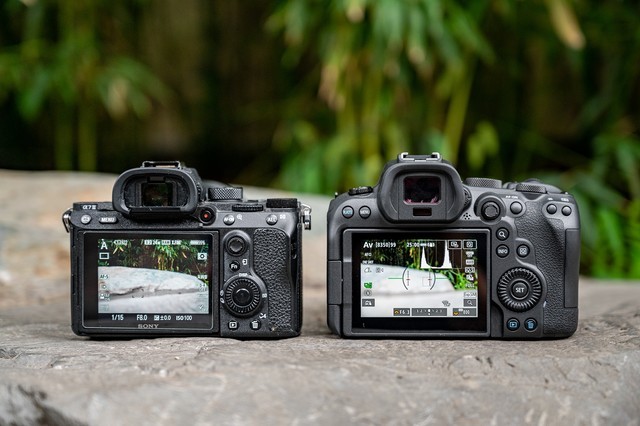 全画幅基准对决 EOS R6 vs A7M3谁是性价比之王 第3张