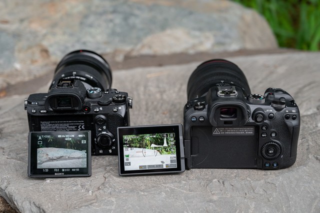 全画幅基准对决 EOS R6 vs A7M3谁是性价比之王 第9张