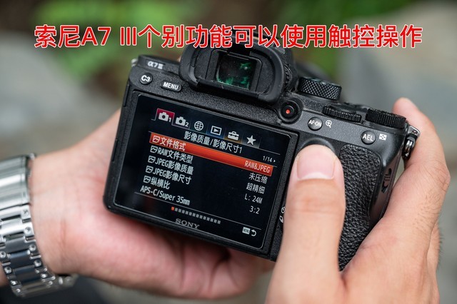 全画幅基准对决 EOS R6 vs A7M3谁是性价比之王 第13张