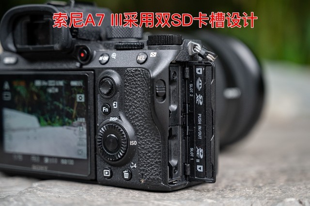 全画幅基准对决 EOS R6 vs A7M3谁是性价比之王 第17张