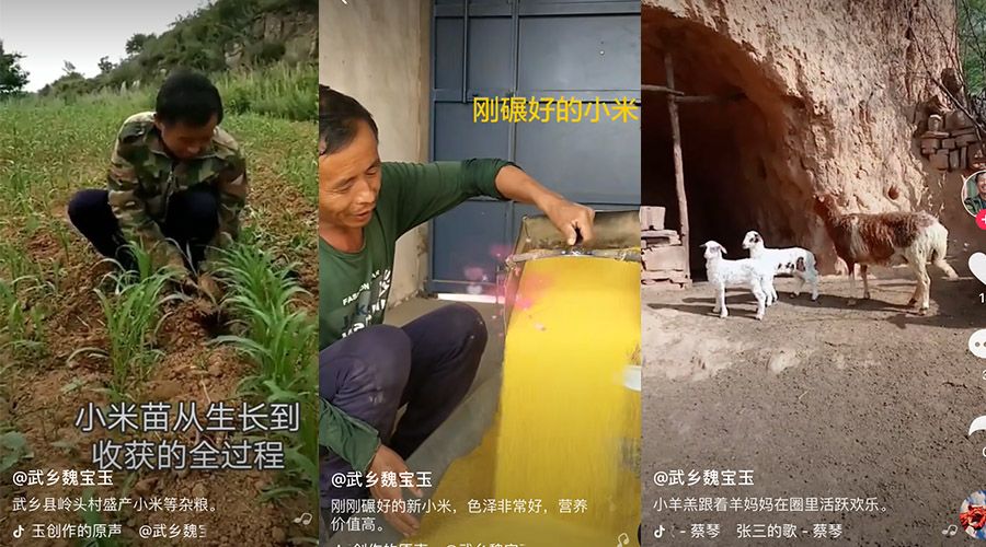 直播运营怎么做？掌握这三个关键点 第13张
