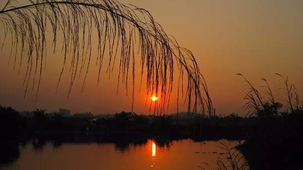 描写黄昏的诗句（落日余晖的优美句子） 第3张