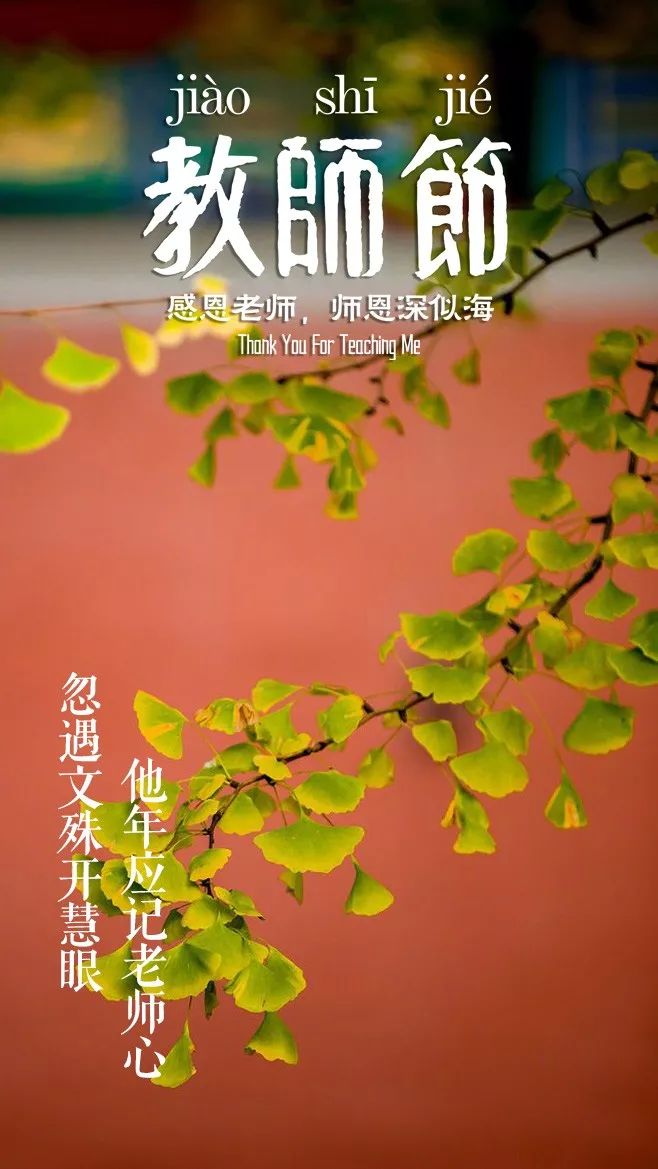 赞美老师的语句有哪些（感谢老师的名诗名句） 第23张