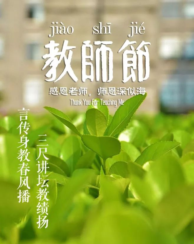 赞美老师的语句有哪些（感谢老师的名诗名句） 第39张