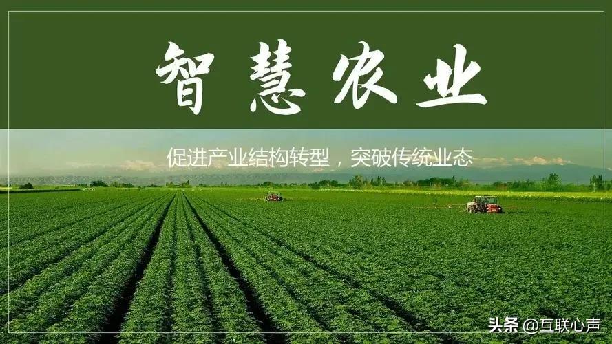 吉林人要做的三件事，抓住“数字经济”发展浪潮，这只是其中之一 第3张