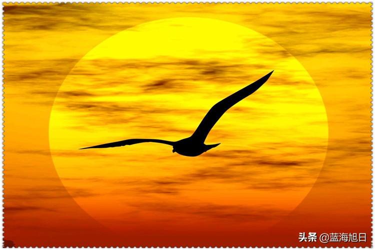 他从年入百万到一无所有，历经磨难后选做这一副业，做出了新高度 第5张