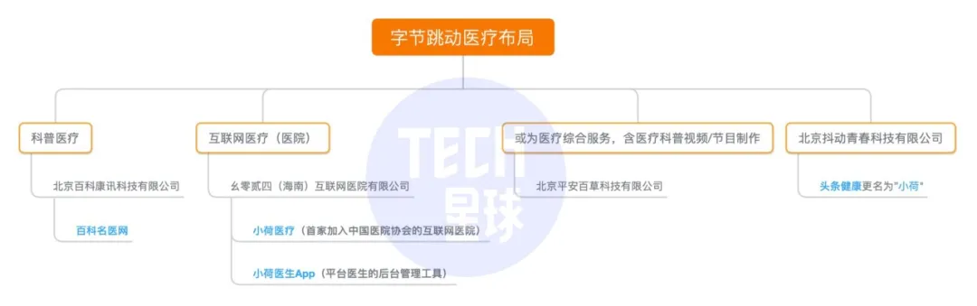 独家 | 字节医疗新版图「小荷」亮相，百度系原高管操盘 第3张