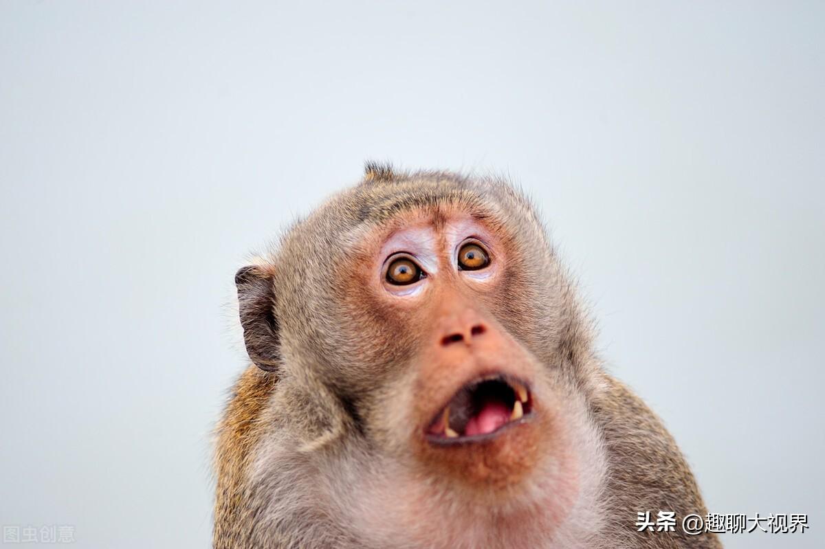 3寸是多少厘米（62厘米是多少寸）"