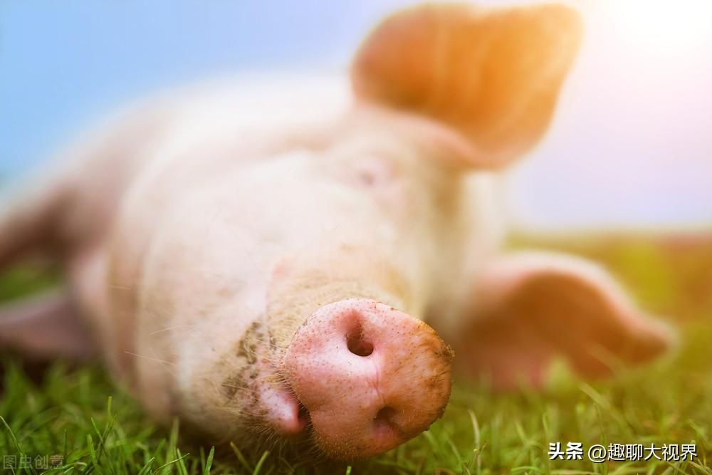 3寸是多少厘米（62厘米是多少寸）"