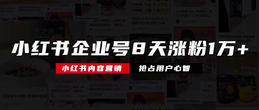 小红书企业号8天涨粉10000+，我是如何到的？ 第5张