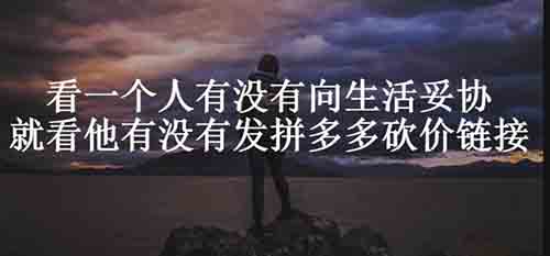 互联网,付费渠道,拼多多 第7张