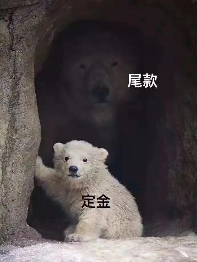 别急，收货人！双11，义乌首收寄快递达3435.84万件 第1张