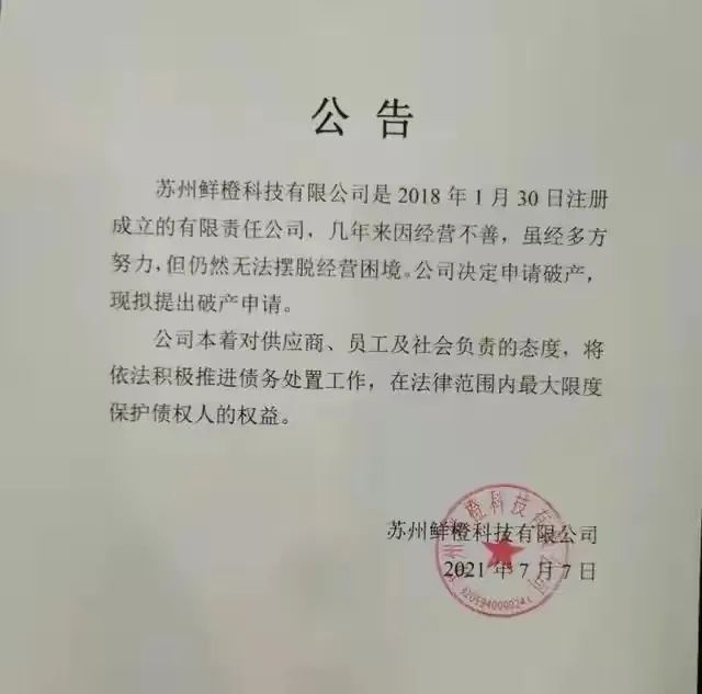 社区团购：一场比共享单车还“短命”的百亿狂欢 第3张